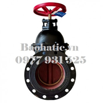 Van mặt bích HT200 D100, D125, D150, D200, D250, D300, D350, D400, D450, D500, D600, D700, D800